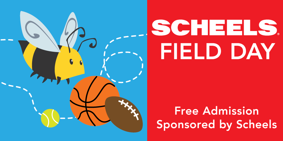 scheels-900×450