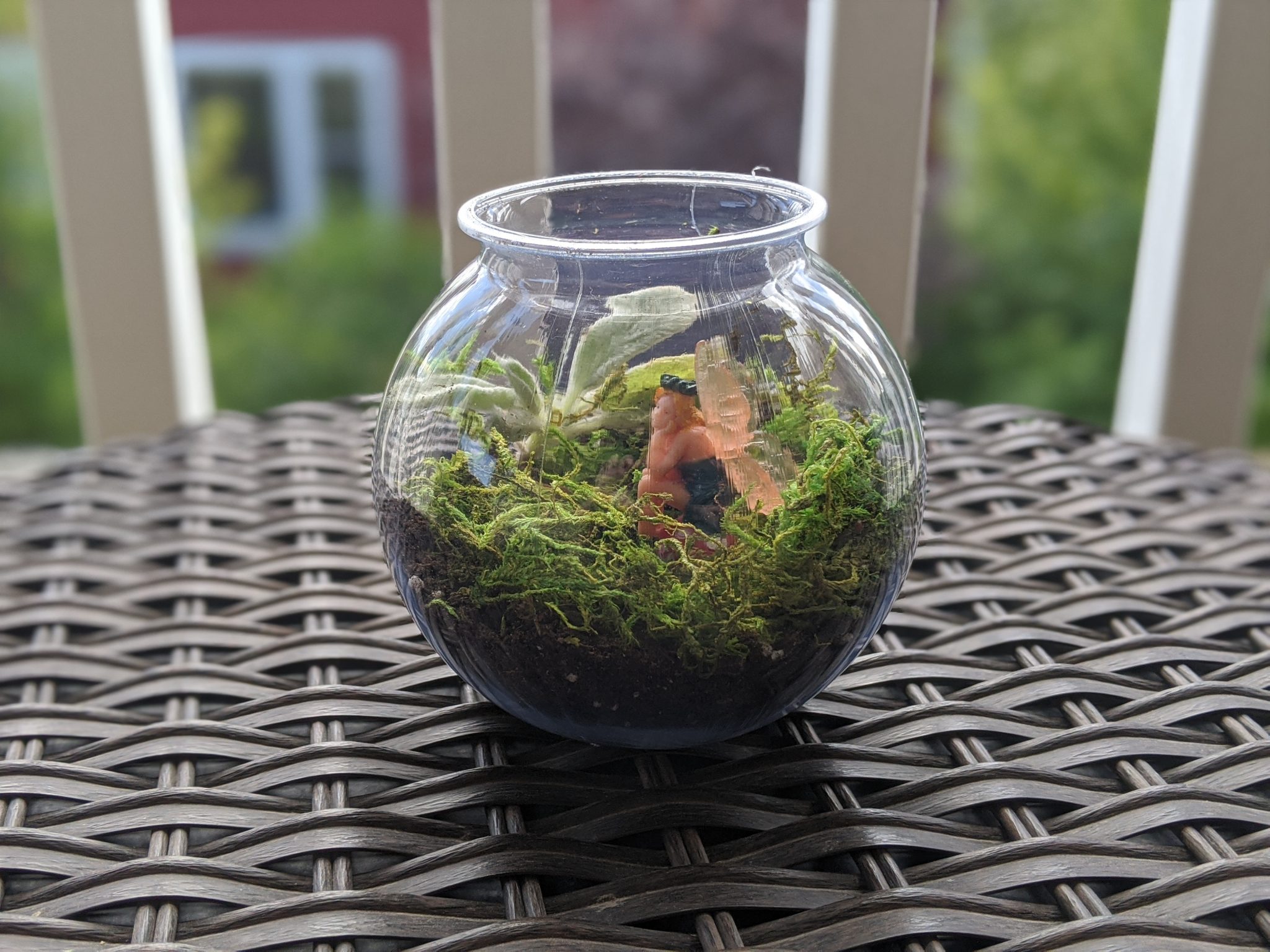 DIY Moss Terrarium for Teams