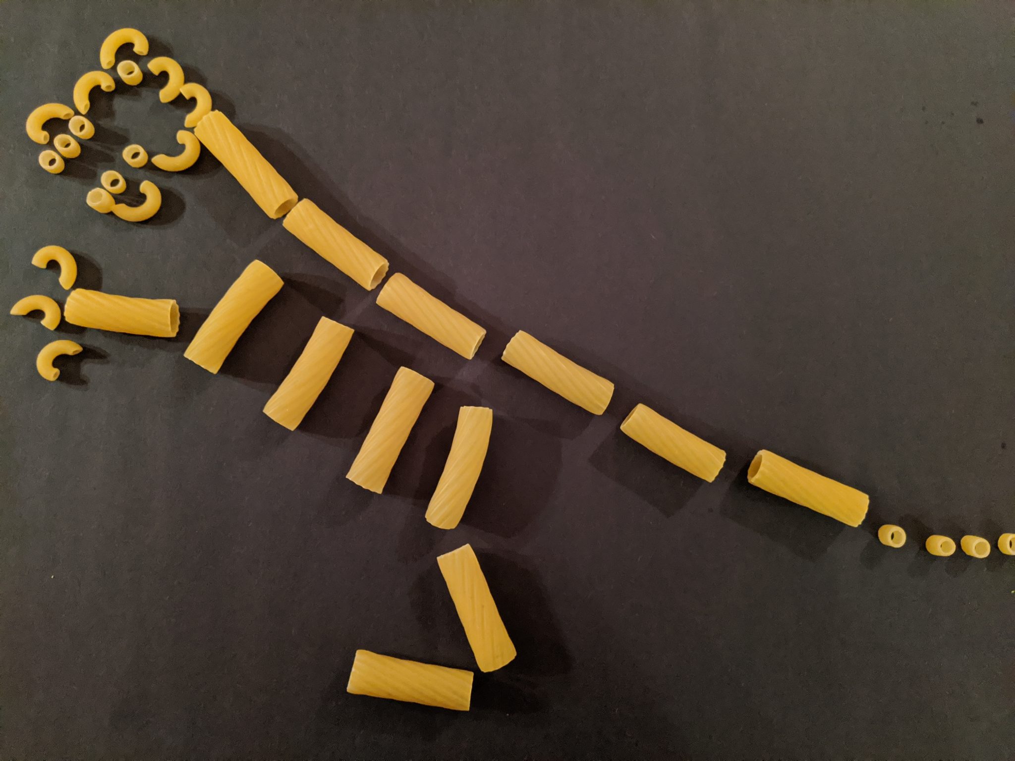 build dinosaur skeleton