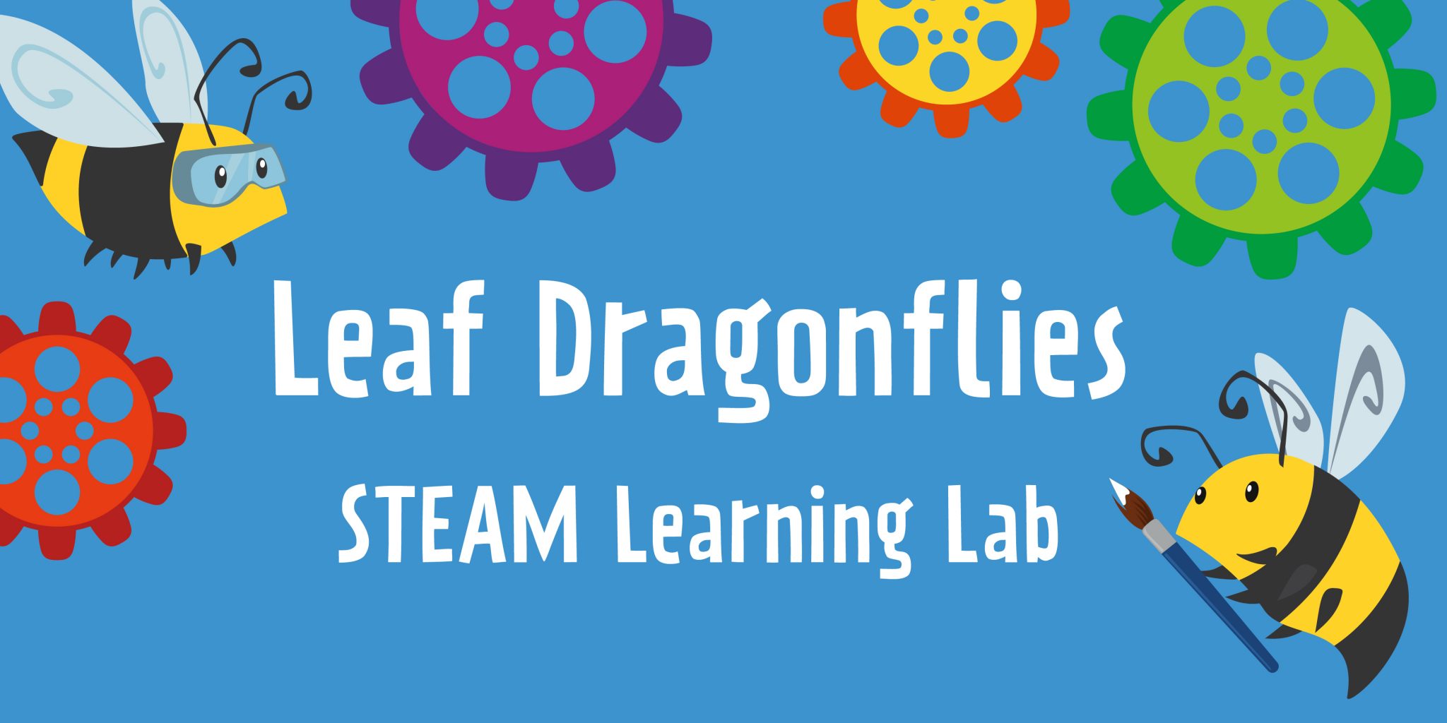 steamlearning-blog-dragonflies-02