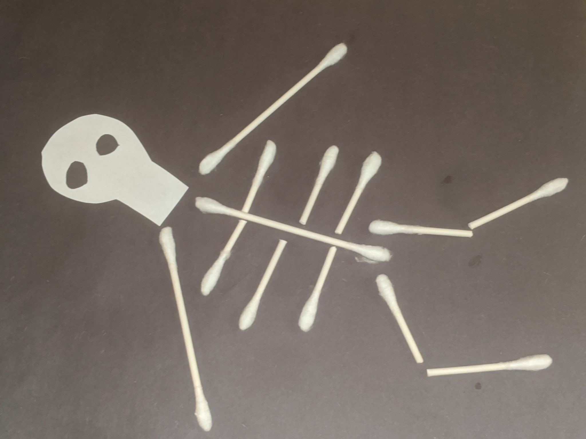 STEAM Learning Lab – Q-tip Skeleton
