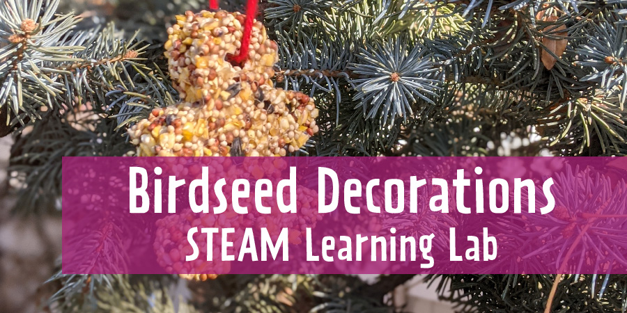 STEAM Learning Lab – Birdseed Decorations