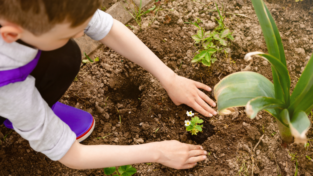 Kid planting seeds
