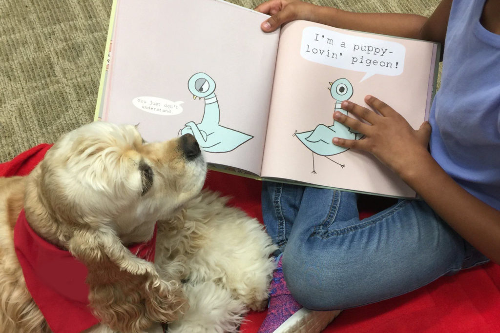 Read to a Therapy Dog