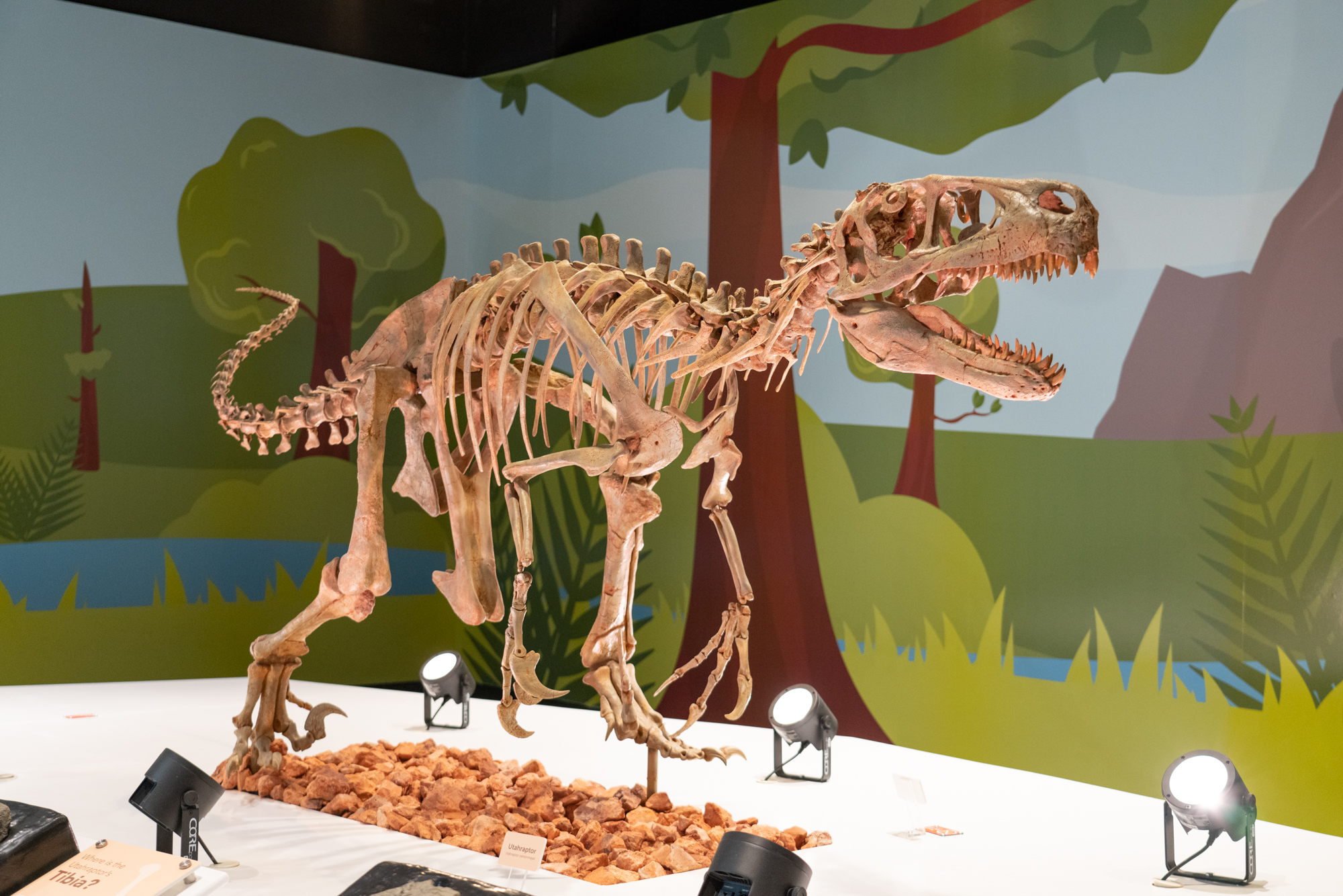 Dinosaur Exhibit at Discovery Gateway Children's Museum