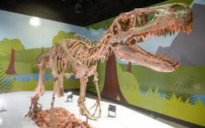 Dinosaur Exhibit at Discovery Gateway Children's Museum