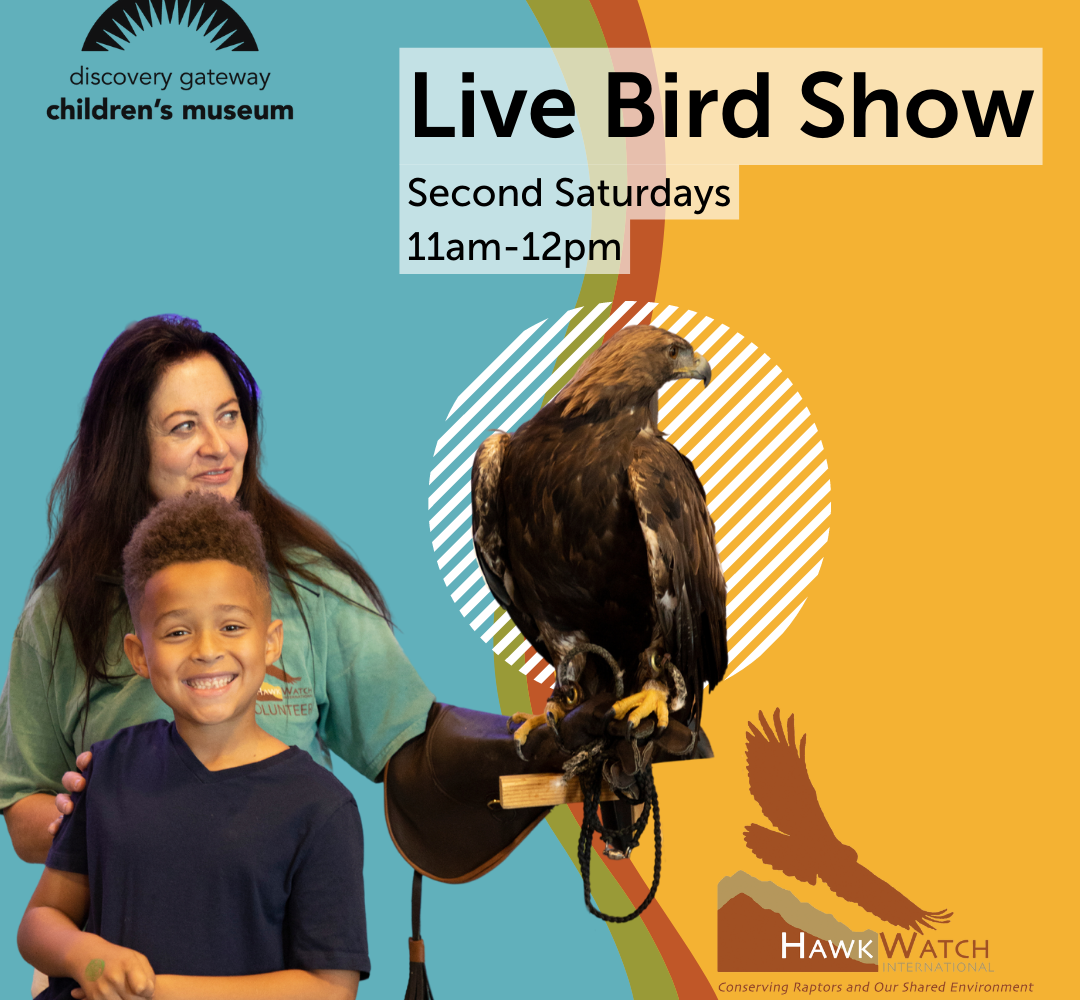 LIVE Bird Show