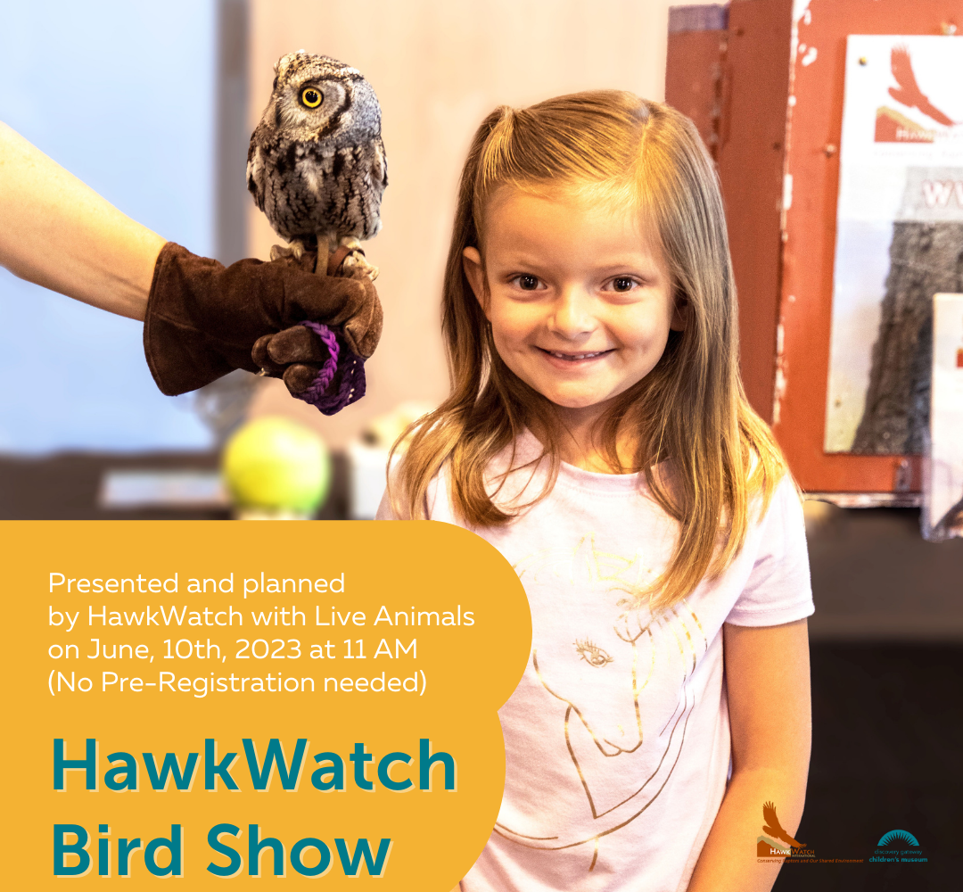 HawkWatch Bird Show - Reading with Raptors