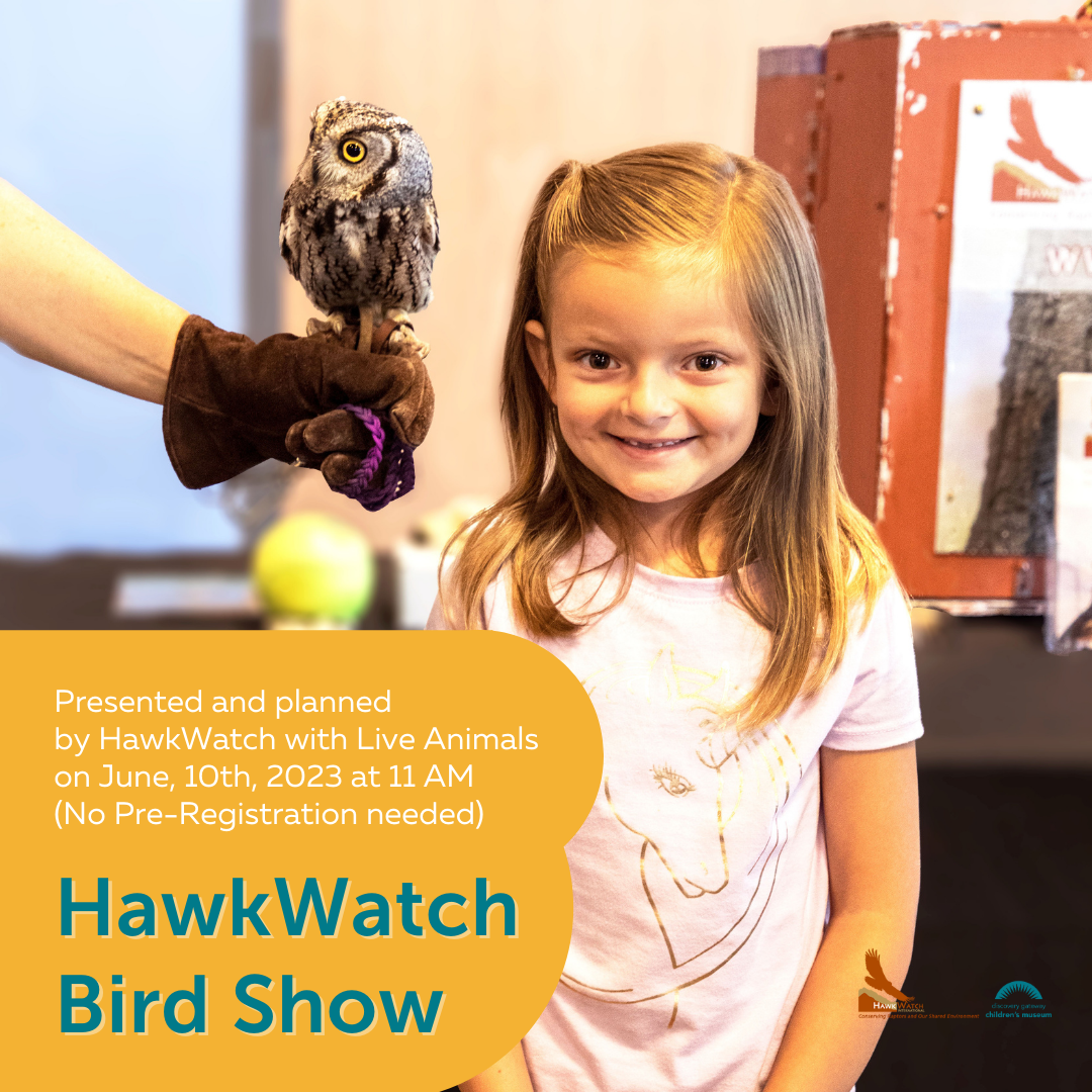 HawkWatch Bird Show – Reading with Raptors