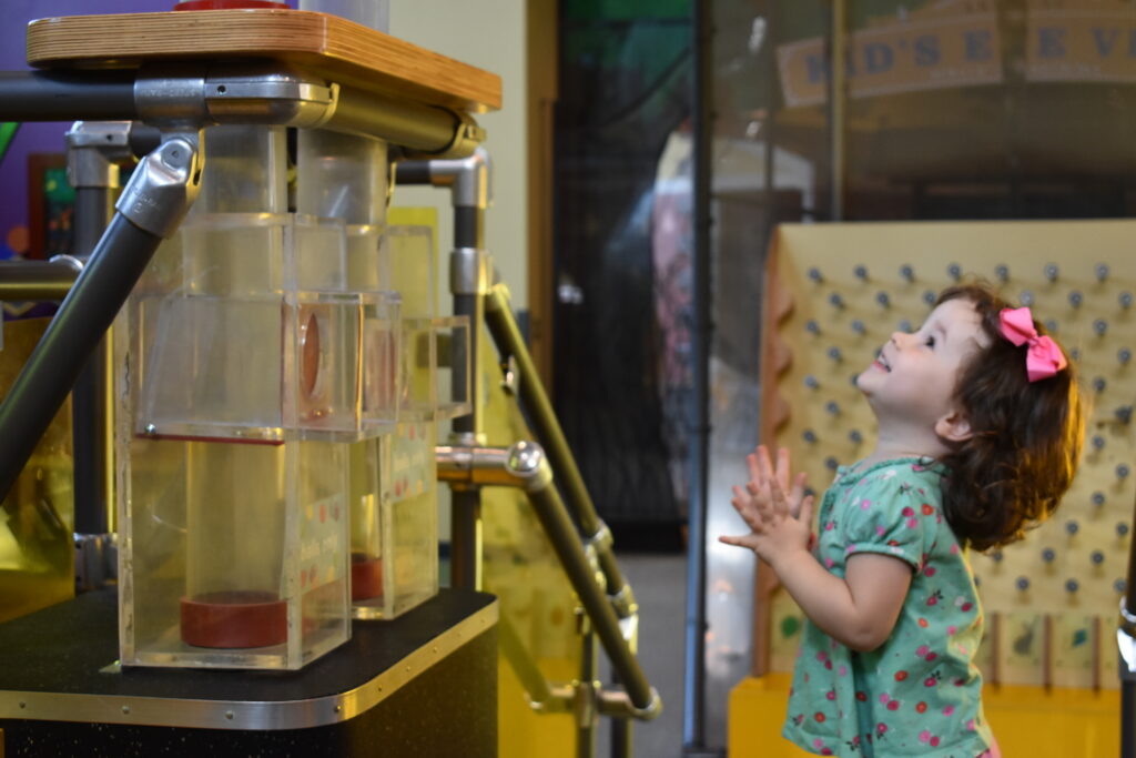 Kid observing Honey Climber section at the museum