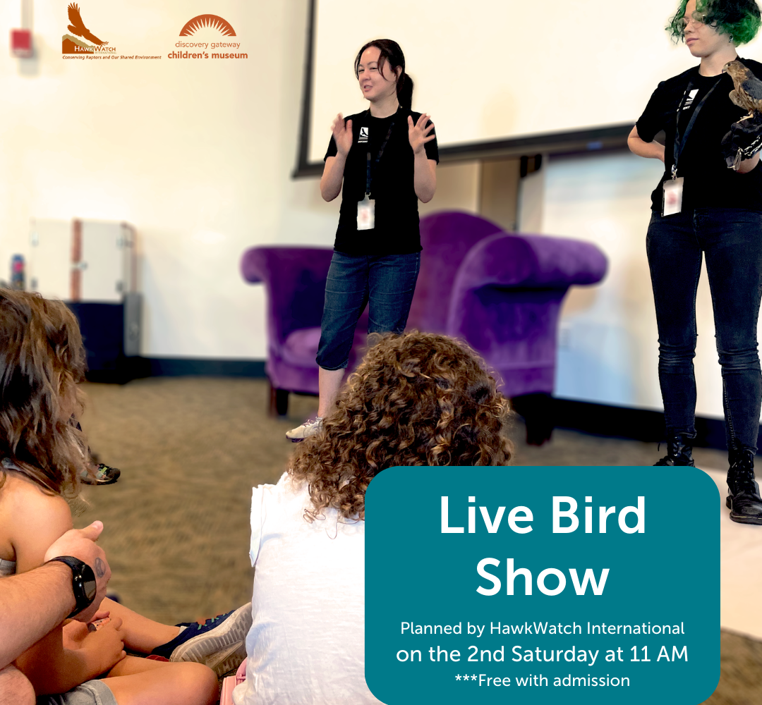 Live Bird Show with professional bird handler and instructor