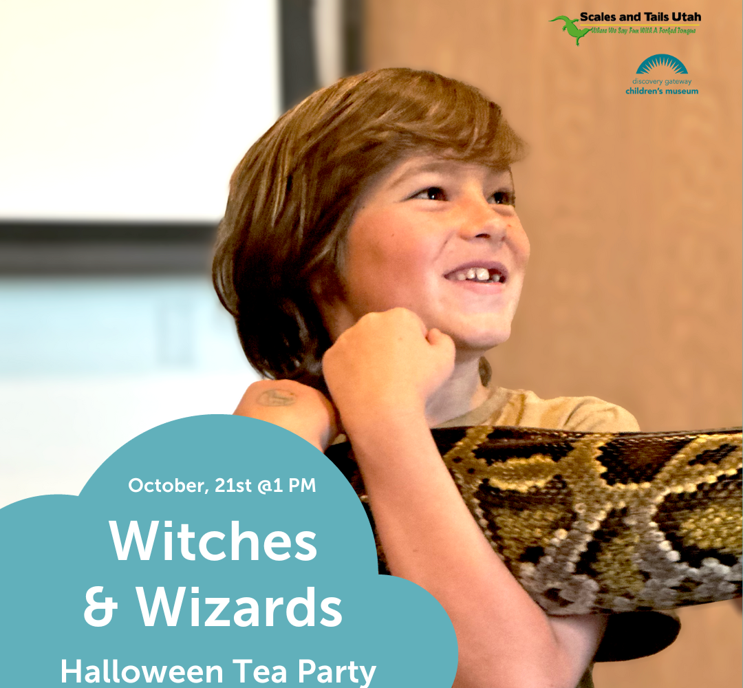 Young boy holding a snake at Scales and Tails Event