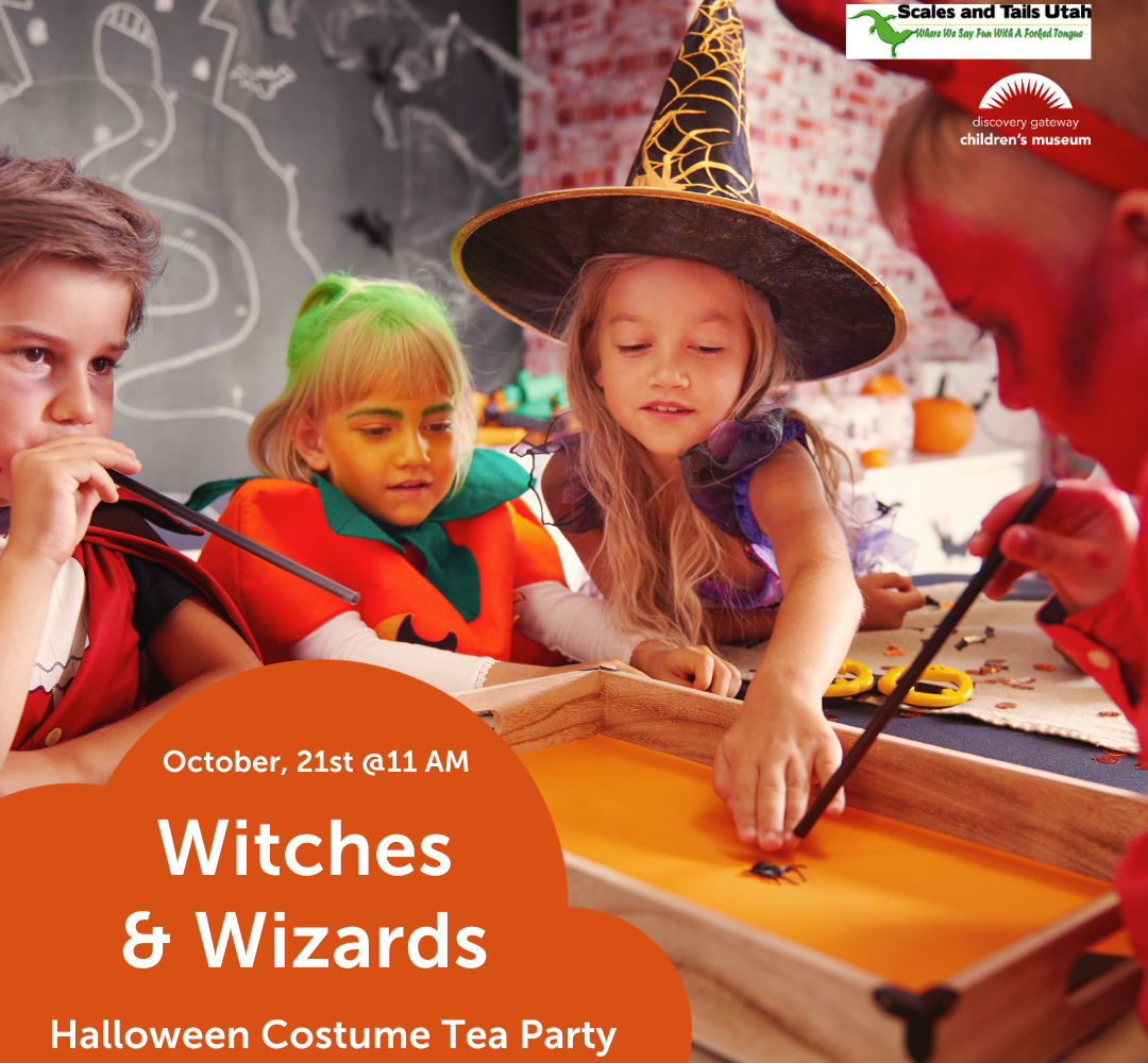Witches and Wizards Tea Party