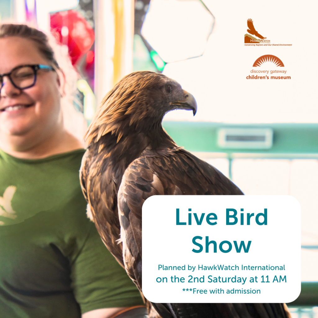 Women holding a raptor for a live bird show at the museum