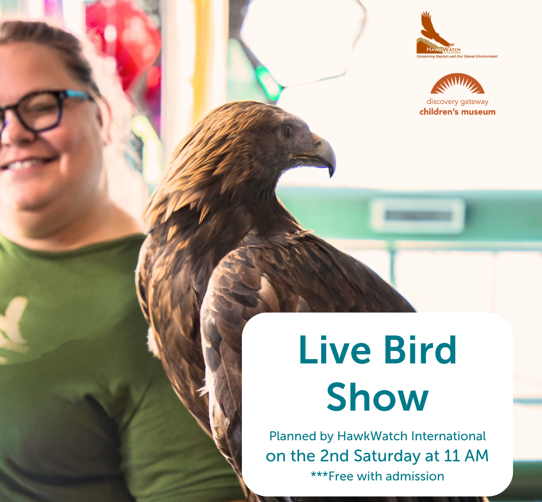 Women holding a raptor for a live bird show at the museum