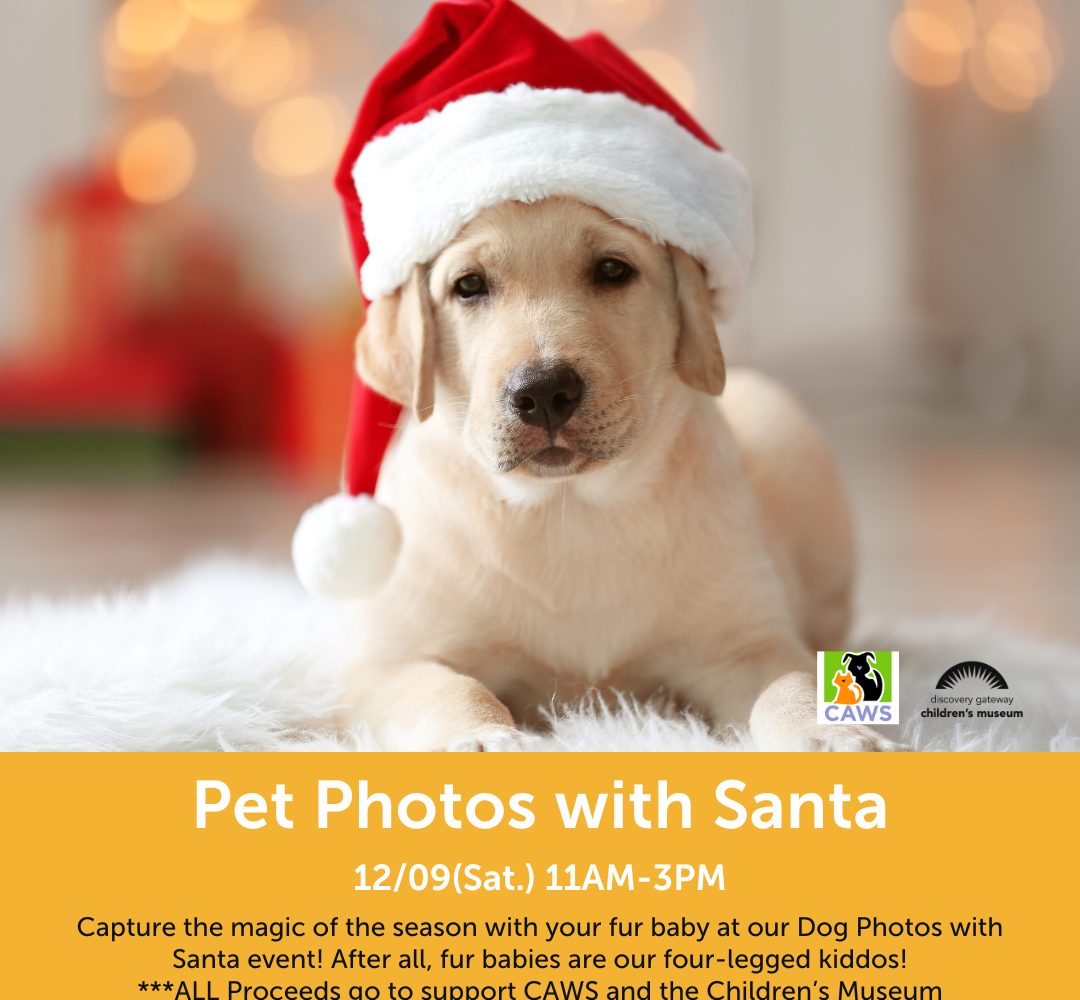 Pet Photos with Santa