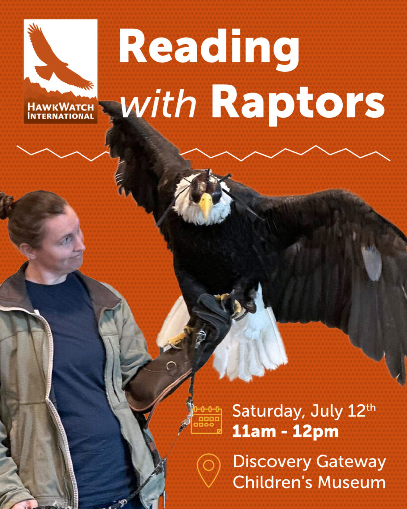 Reading With Raptors